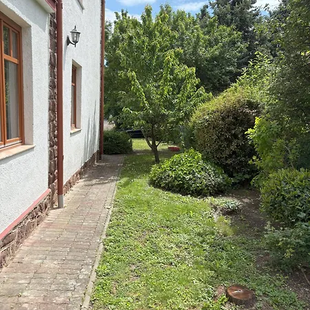 Rosa Vila